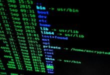 protecting network data privacy