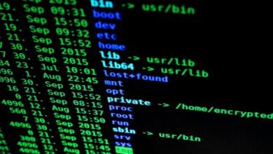 protecting network data privacy