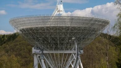telecommunication contact numbers listed